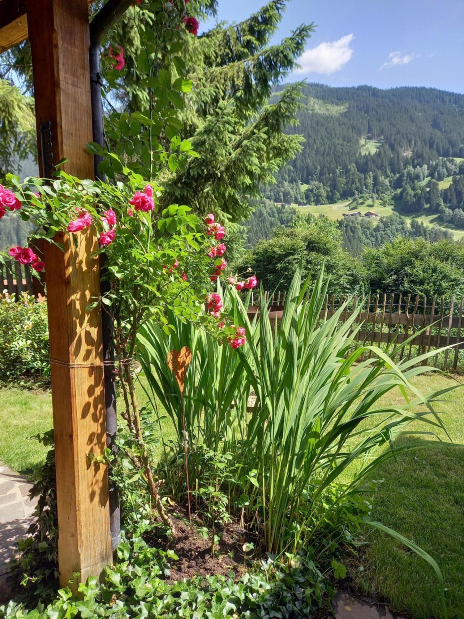 Aparthaus Am Walde & Appartement Sonnenseite Bartholomäberg 외부 사진